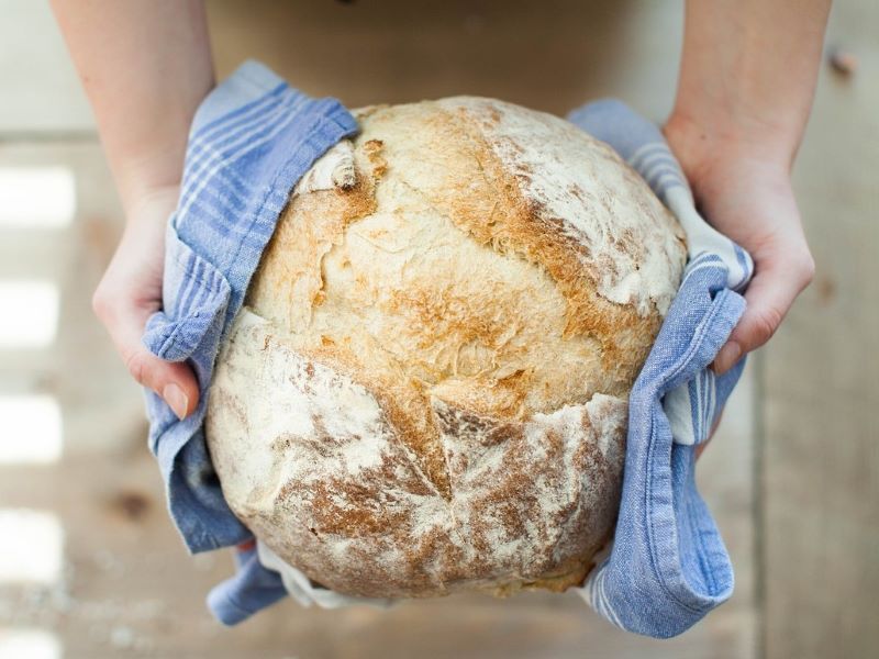 Já jsem ten živý chléb - záznamy bohoslužeb a promluv z 18.8.2024