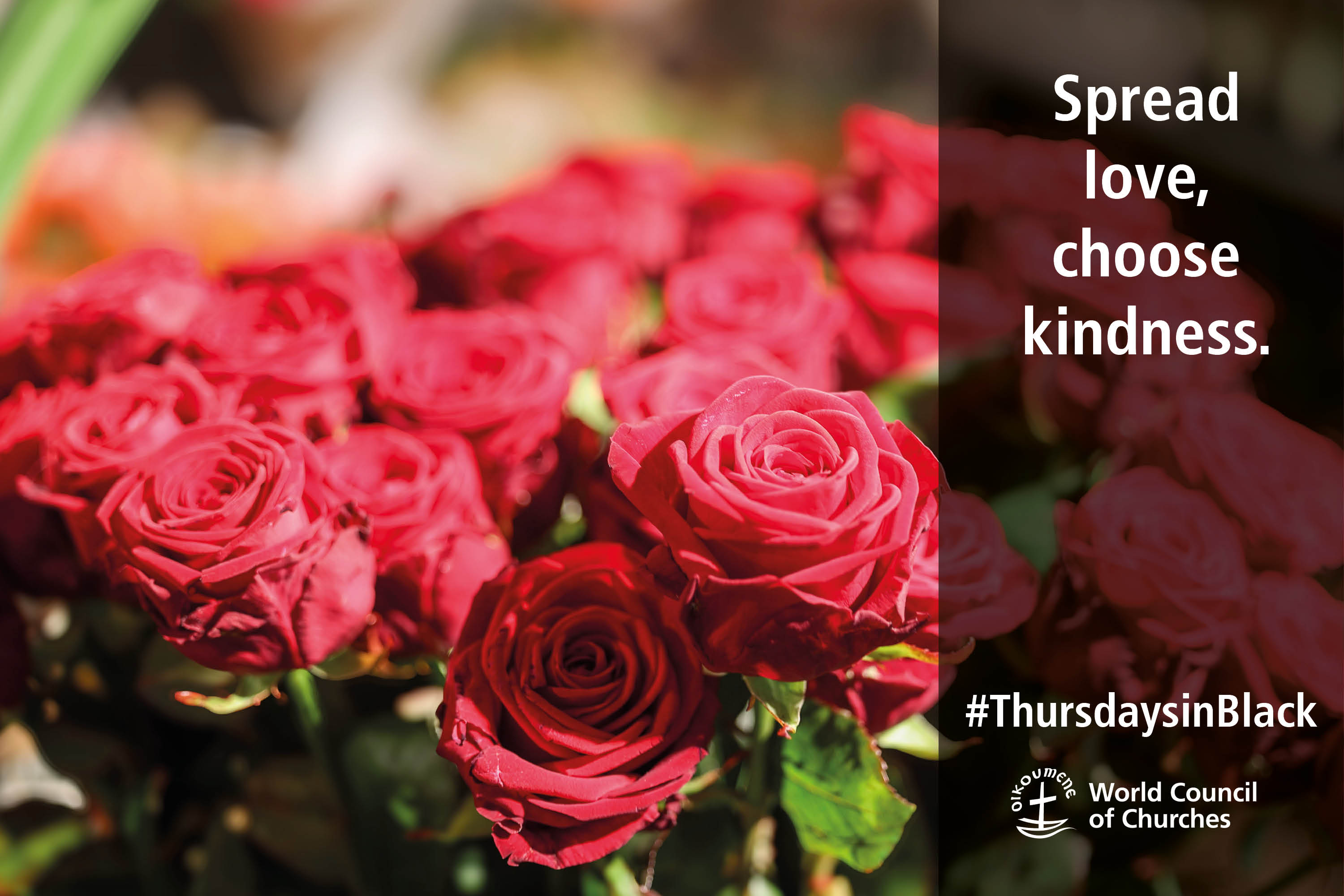 Layouts TiB 2025 EN 12